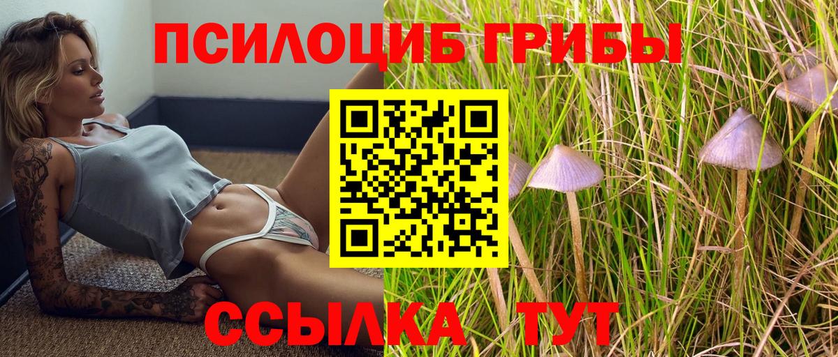 сколько стоит  Вход с VPN  Мегион  Псилоцибиновые грибы мухоморы 
